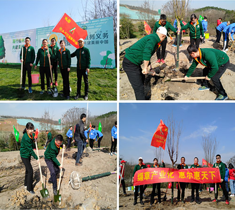 312惠爾員工都在做什么？